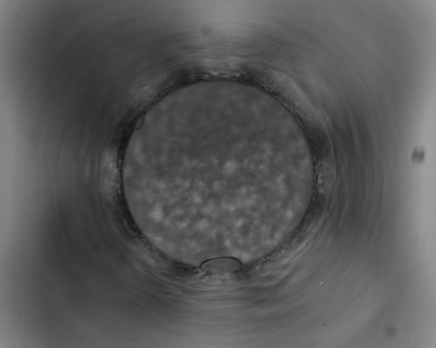 X0000102851298200809151118