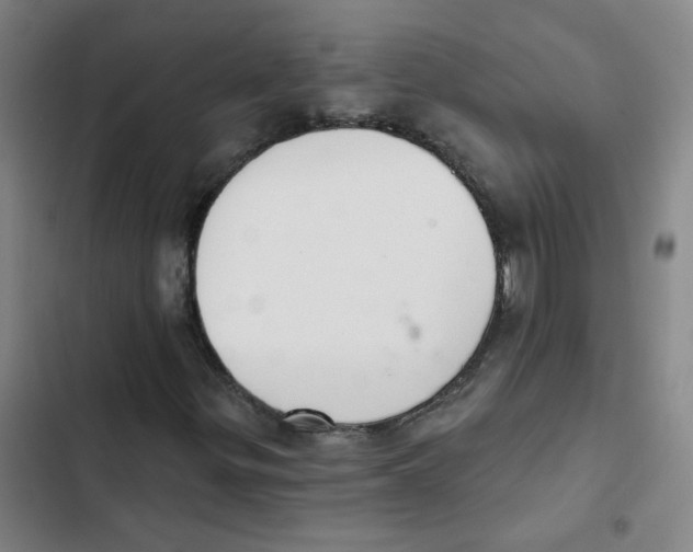 X0000102851299200809151118