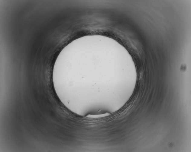 X0000102851300200809151118