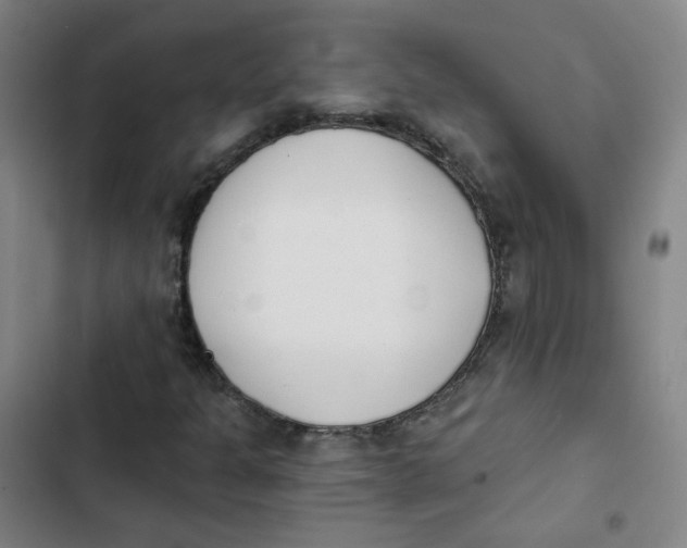 X0000102851301200809151118