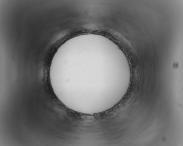 X0000102851302200809151118