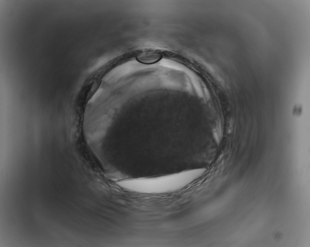 X0000102851303200809151118