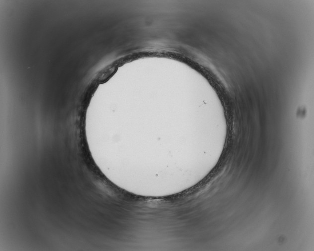 X0000102851304200809151118