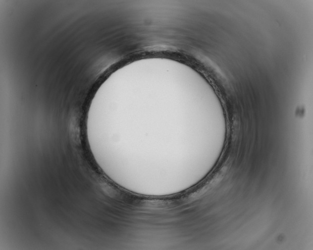 X0000102851305200809151118