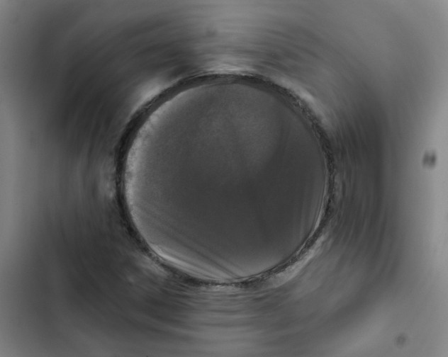 X0000102851306200809151118