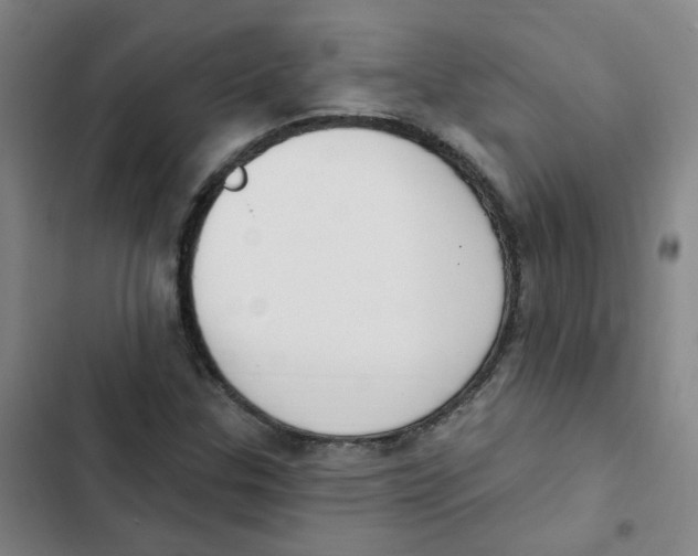 X0000102851307200809151118