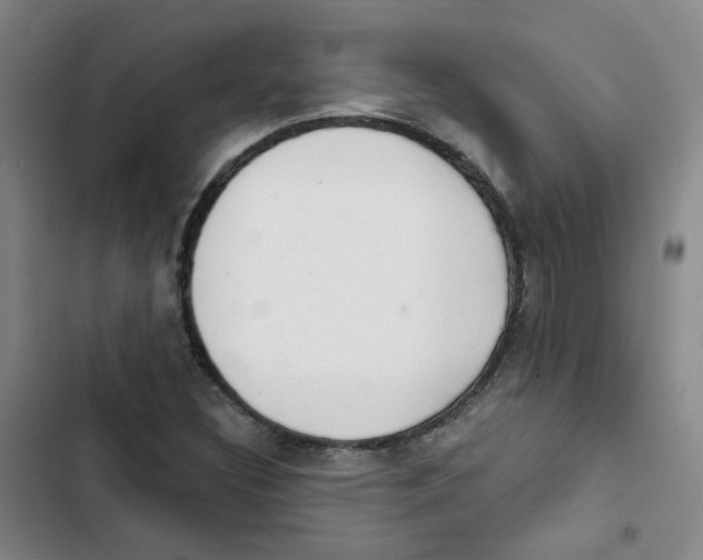 X0000102851308200809151118