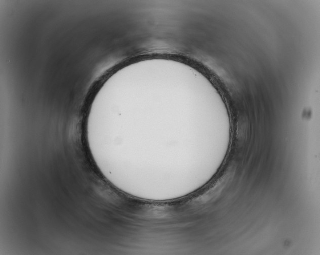 X0000102851309200809151118