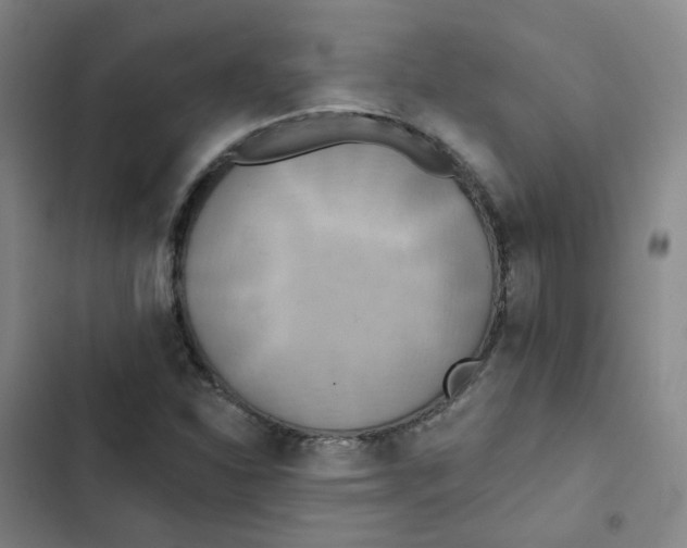 X0000102851310200809151118