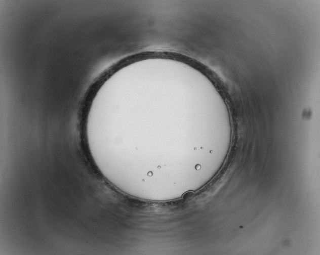 X0000102851311200809151118