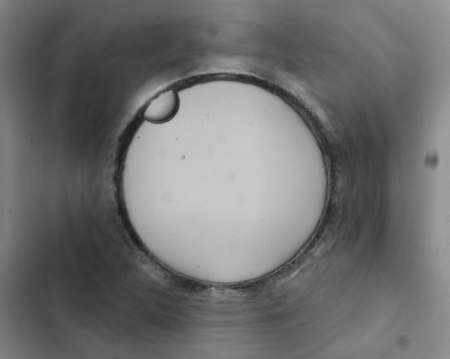 X0000102851312200809151118