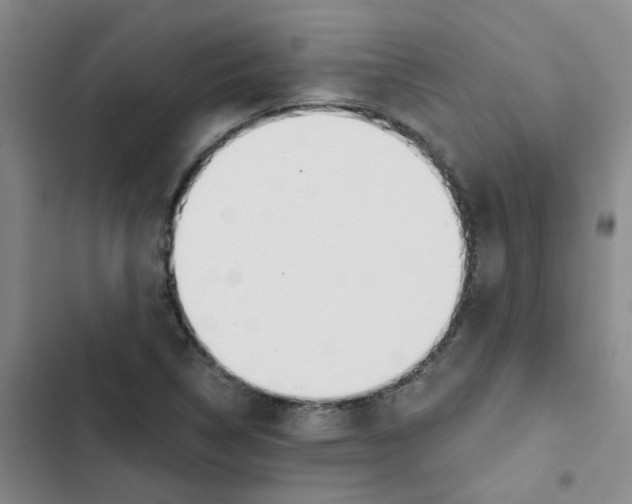 X0000102851314200809151118