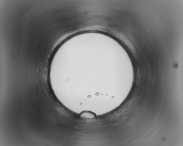 X0000102851316200809151118