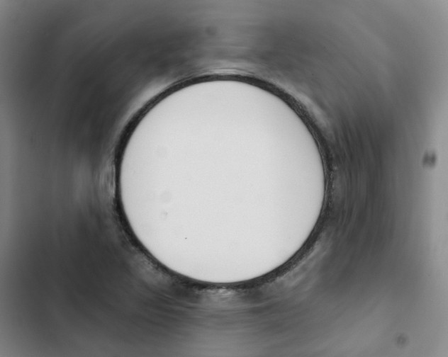 X0000102851317200809151118