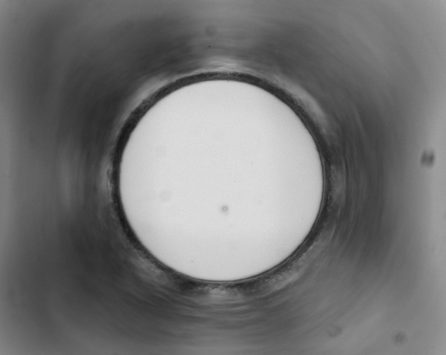 X0000102851318200809151118