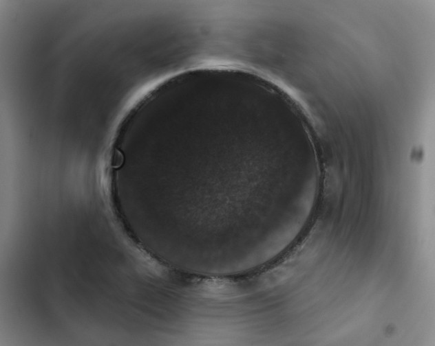 X0000102851319200809151118