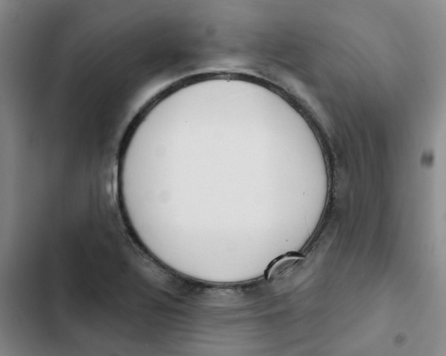 X0000102851320200809151118