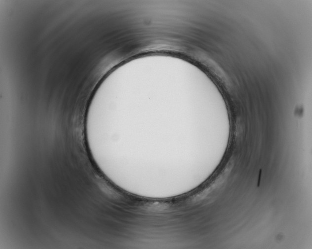 X0000102851321200809151118