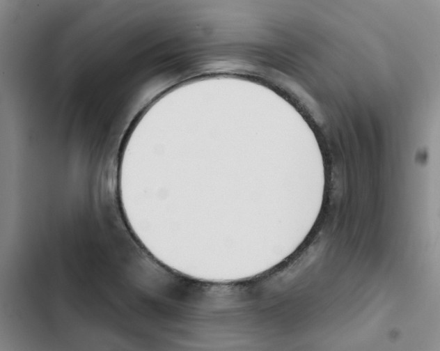 X0000102851322200809151118