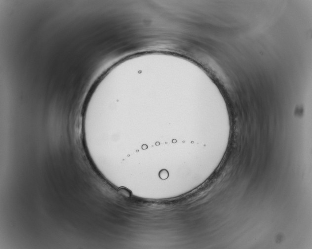 X0000102851324200809151118