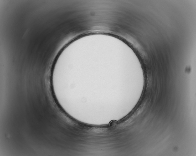 X0000102851325200809151118