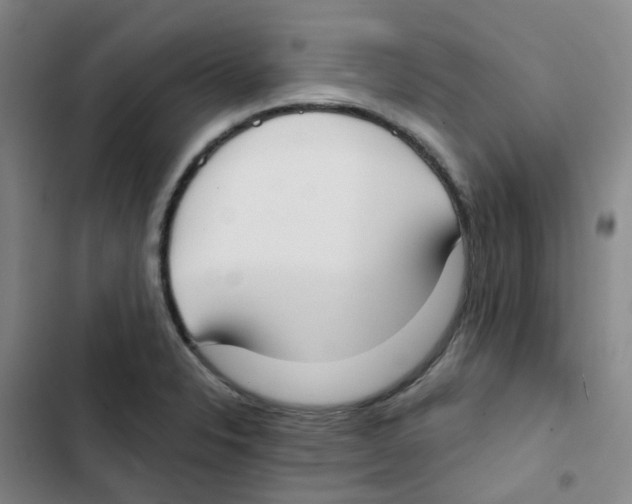 X0000102851326200809151118