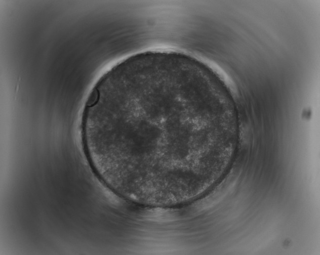 X0000102851327200809151118