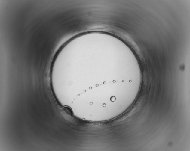 X0000102851328200809151118