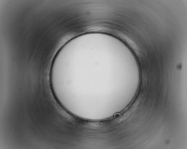 X0000102851330200809151118