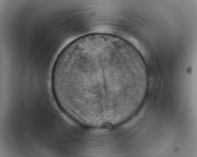 X0000102851331200809151118