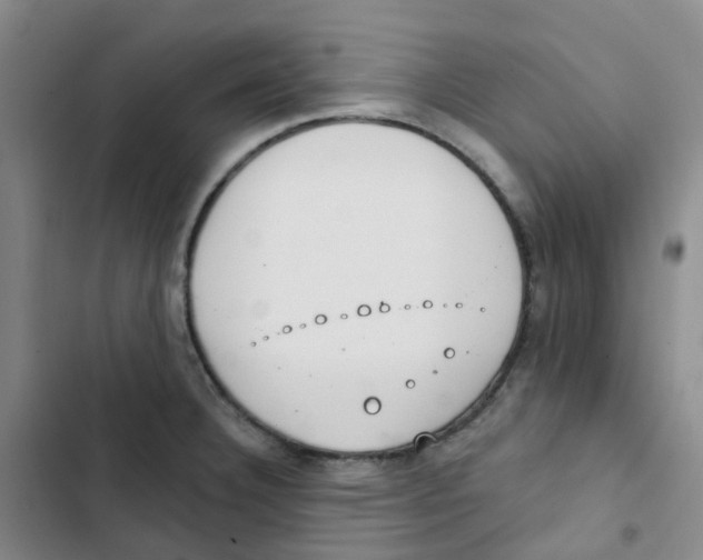 X0000102851332200809151118