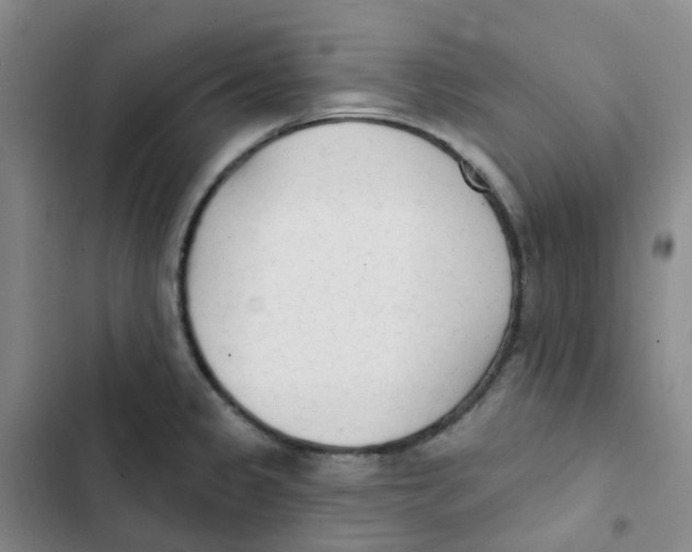 X0000102851333200809151118