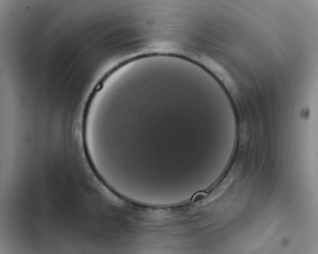 X0000102851334200809151118