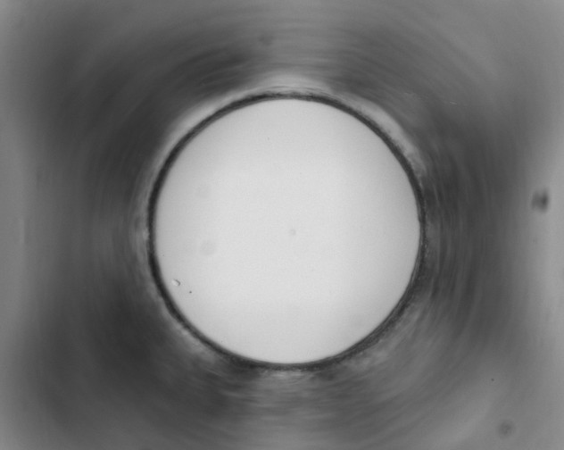 X0000102851335200809151118