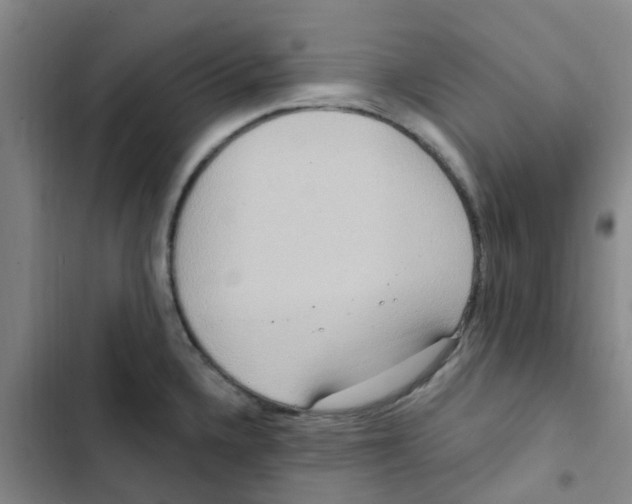 X0000102851336200809151118