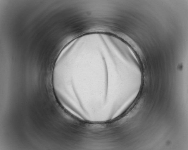 X0000102851337200809151118