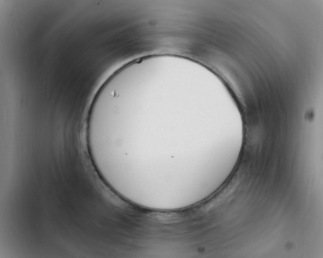 X0000102851340200809151118