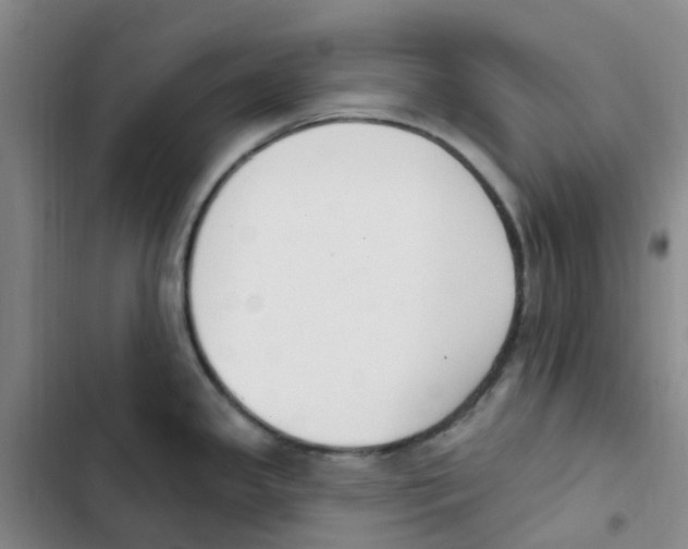 X0000102851341200809151118