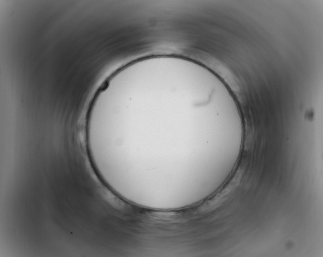 X0000102851342200809151119