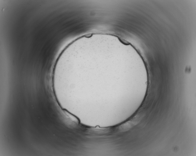 X0000102851344200809151119