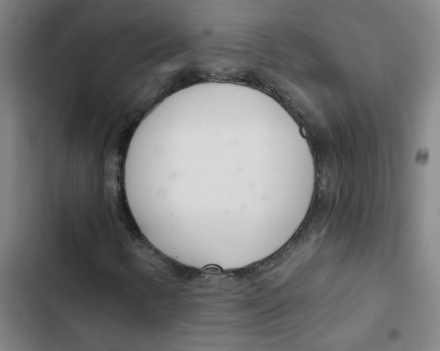 X0000102851346200809151118