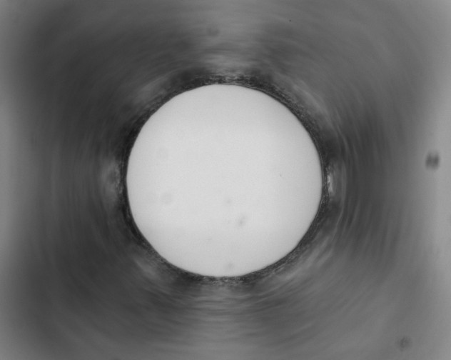 X0000102851347200809151118