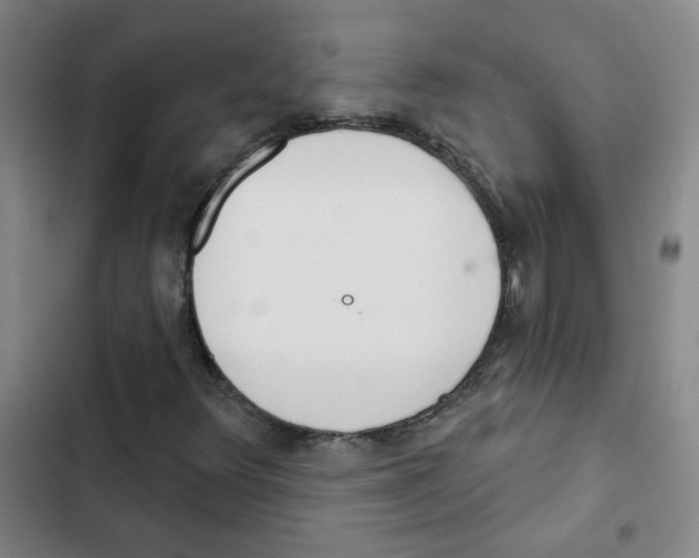 X0000102851348200809151118