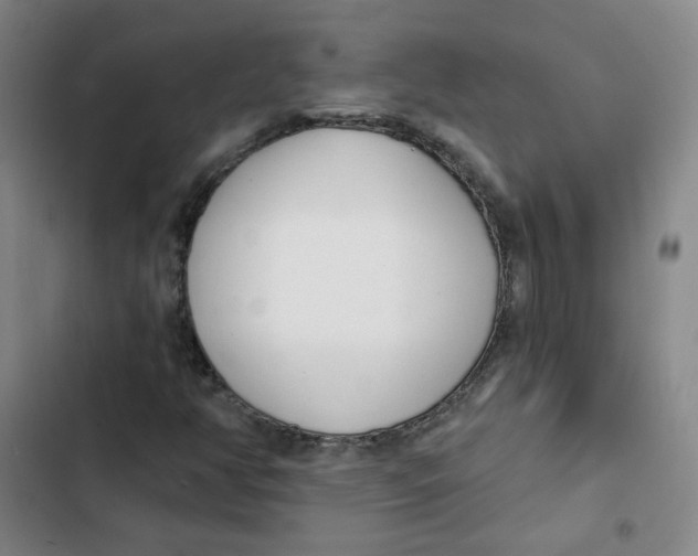 X0000102851350200809151118