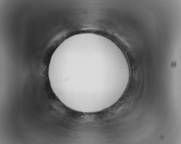 X0000102851351200809151118