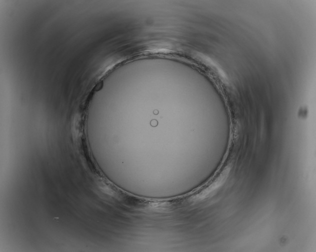 X0000102851353200809151118