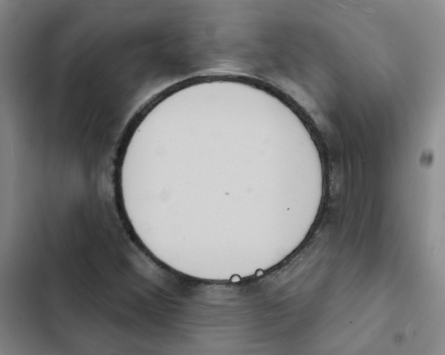 X0000102851356200809151118