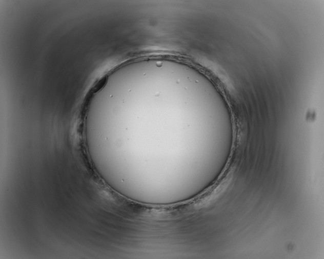 X0000102851357200809151118