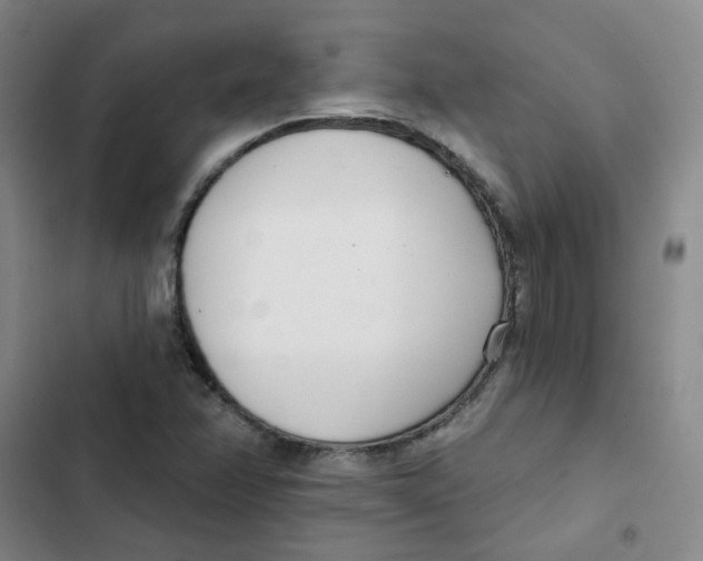 X0000102851358200809151118