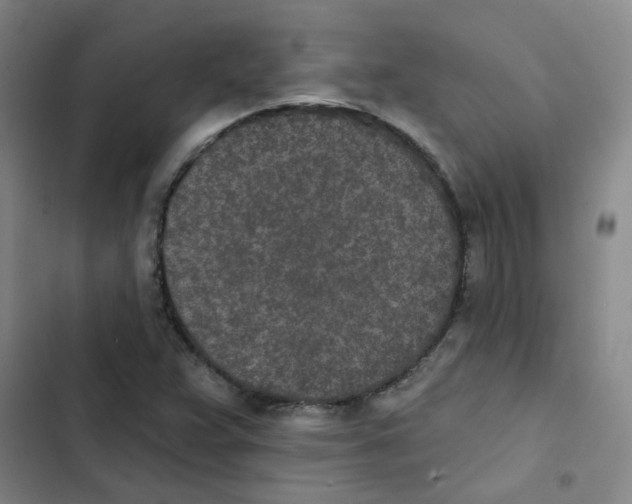 X0000102851359200809151118